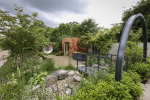 Bord Bia Bloom 2024 show garden