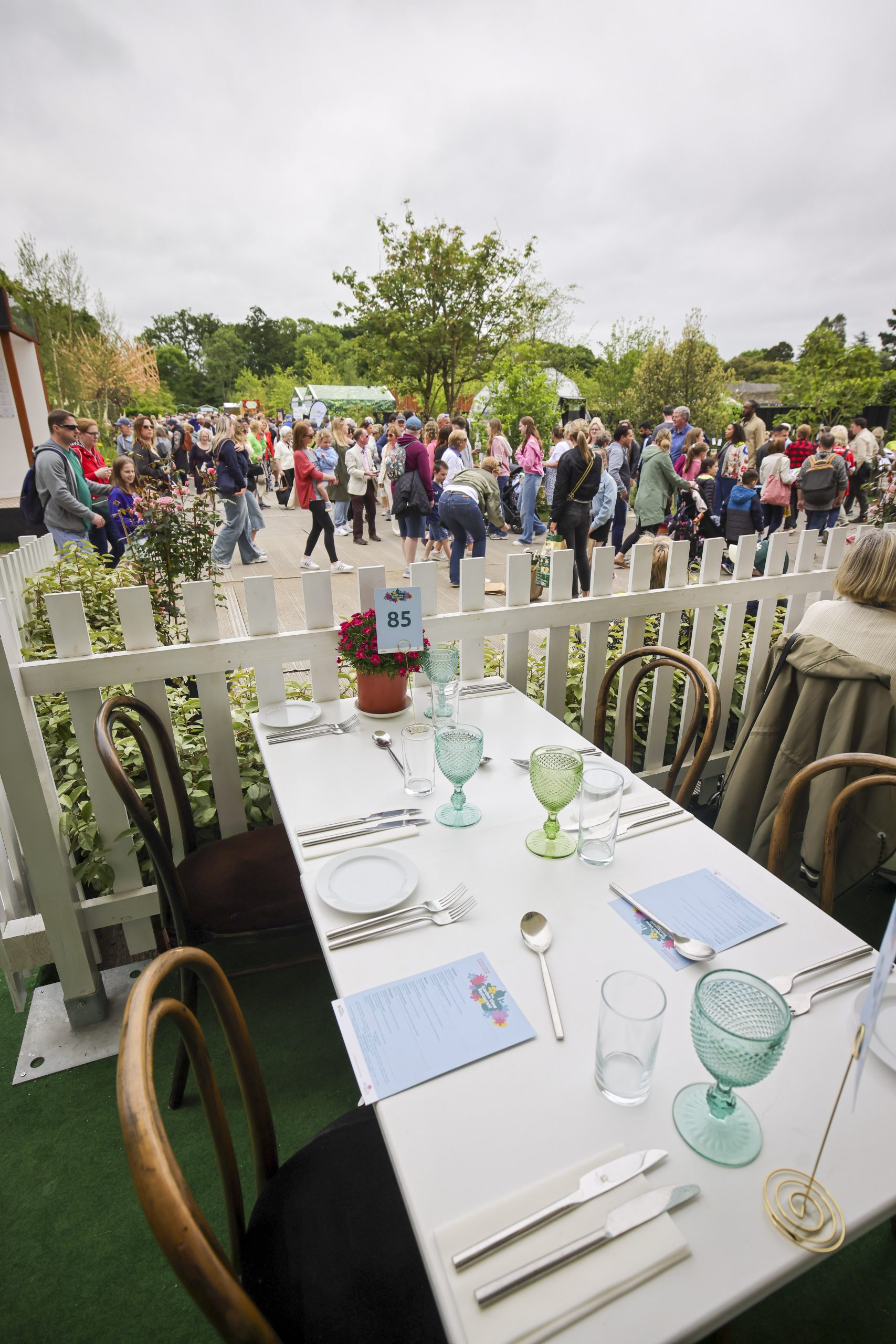 Win a great day out at Bord Bia Bloom 2025! Bloom Ireland's Largest