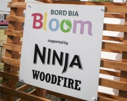 Competition: Win a Ninja Woodfire BBQ + 4 tickets to Bord Bia Bloom 2025!