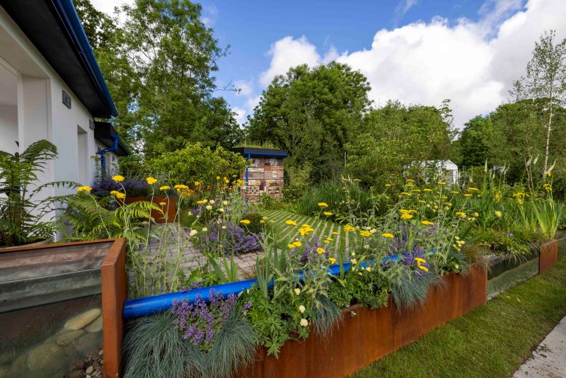 Bord Bia Bloom show garden image. Full, vibrant garden with blue sky.