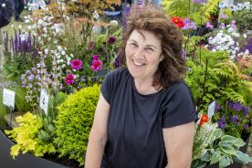 Nursery Focus: Boyne Garden Centre & Nursery