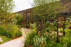 Cultivating Ireland’s garden design talent