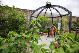 Harnessing the sun in Irish gardens